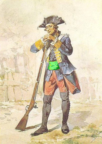 barriga-verde