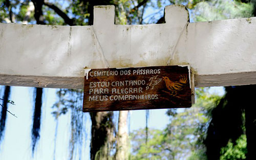 Cemitério de Pássaros
