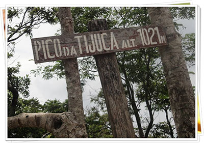 Pico da Tijuca