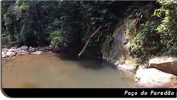 paredao