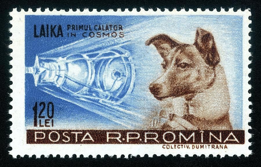 Selo Laika